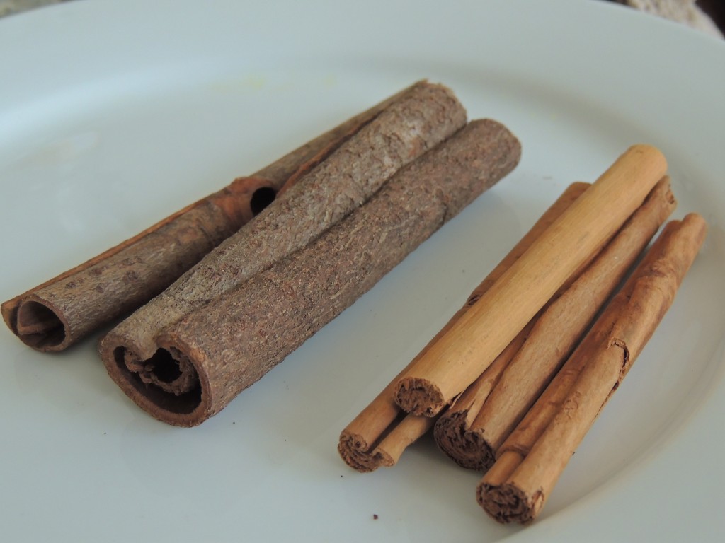 Cassia bark (left) and True Cinnamon